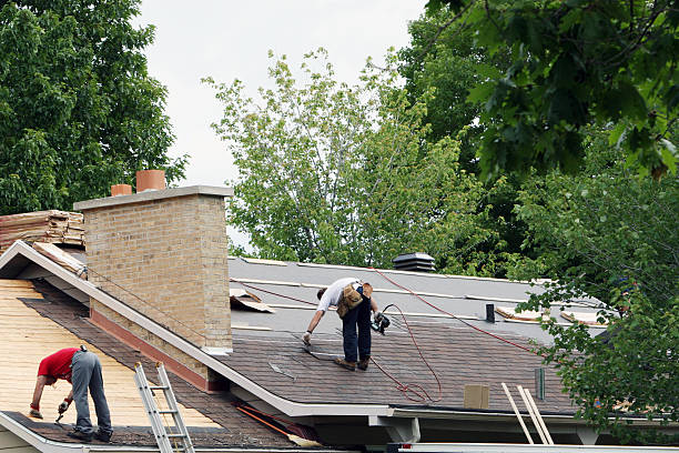 Best Roof Restoration Services  in Oakwood, IL