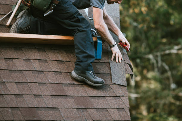 Best Roof Restoration Services  in Oakwood, IL